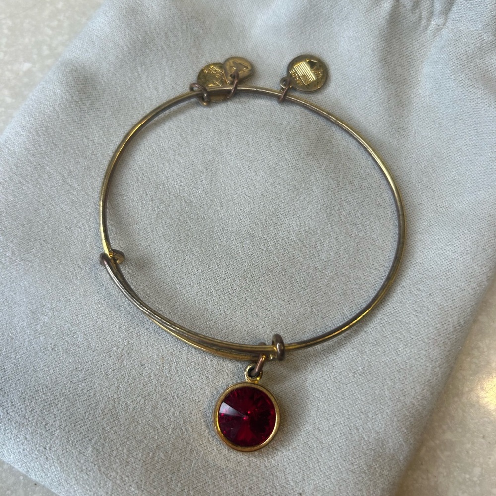 Alex and Ani January Birthstone Bracelet (2) gold and silver
